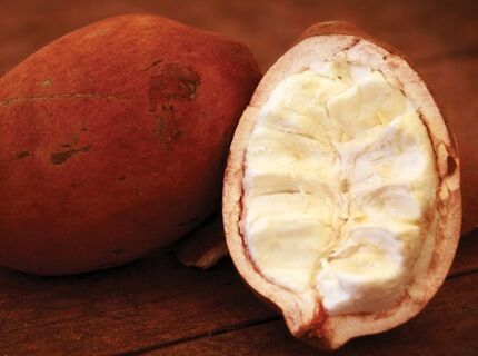 Самые редкие экзотические фрукты. Фото