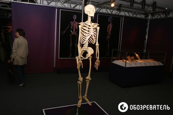 В Киев привезли выставку человеческих тел, печени и легких