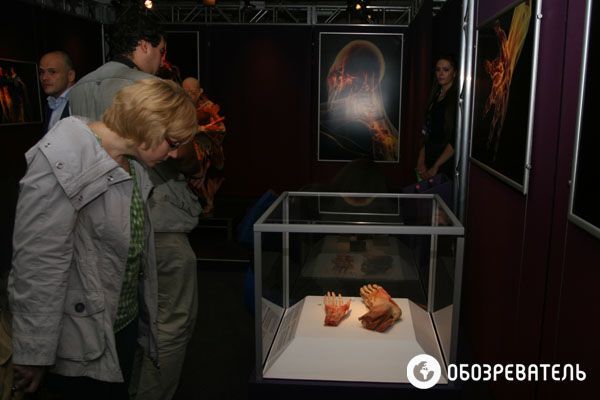 В Киев привезли выставку человеческих тел, печени и легких