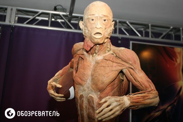 В Киев привезли выставку человеческих тел, печени и легких