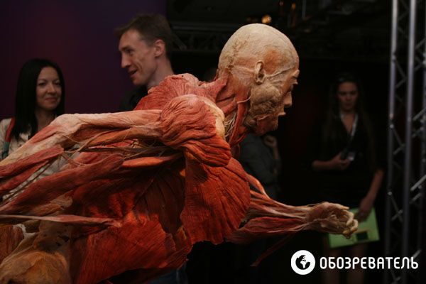 В Киев привезли выставку человеческих тел, печени и легких