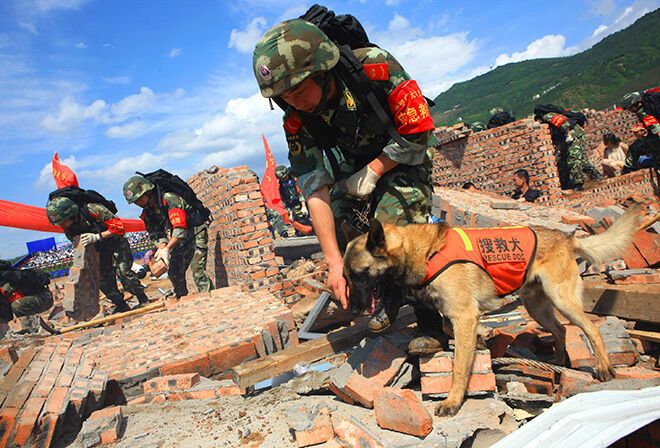 Число жертв землетрясения в Китае выросло до 89 человек