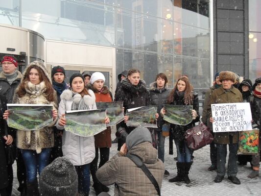 Акула в Киеве: хищник или жертва?