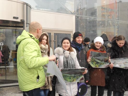 Акула в Киеве: хищник или жертва?