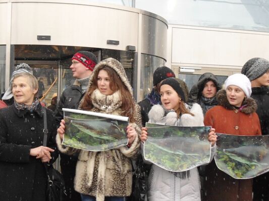 Акула в Киеве: хищник или жертва?