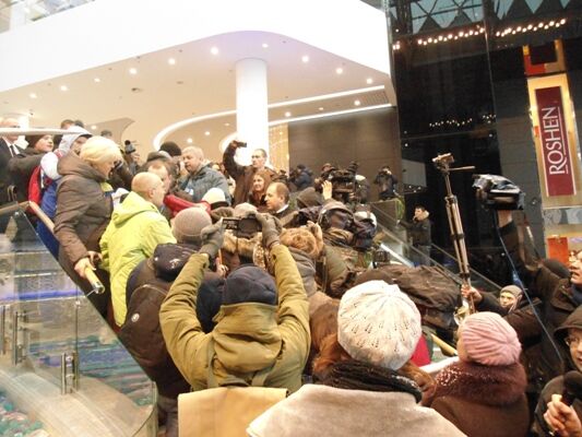 Акула в Киеве: хищник или жертва?