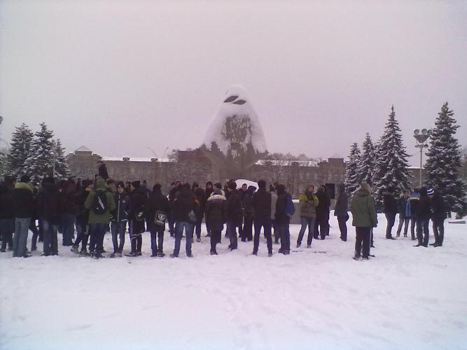 "Волю Павличенкам!" Движение, накрывшее мир