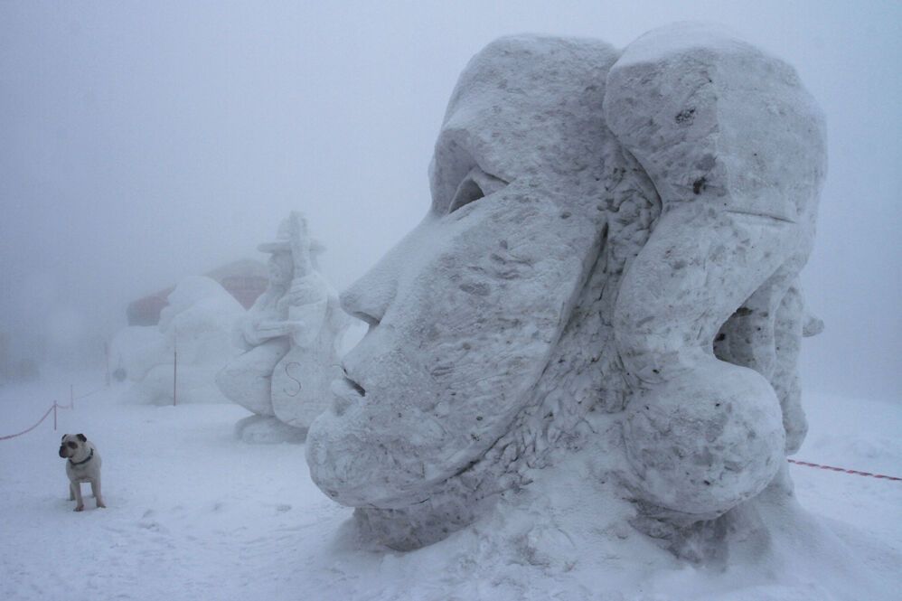 Сніжне королівство