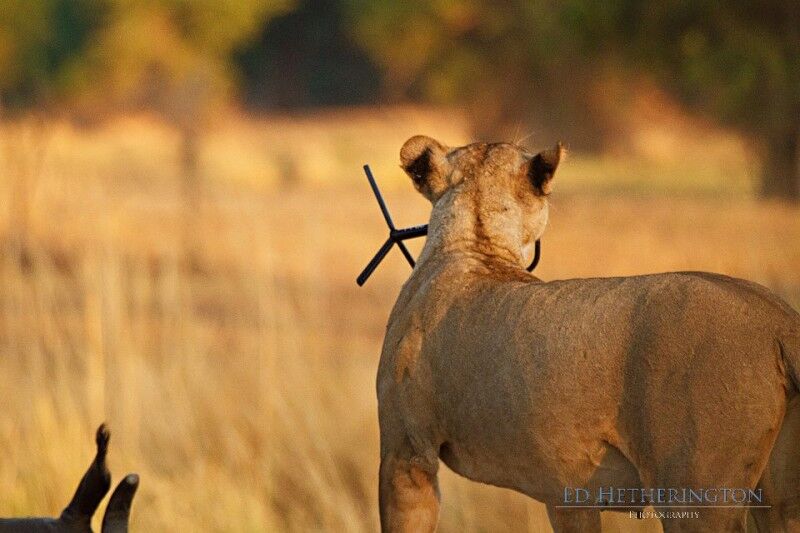 Где же ты, фотограф?