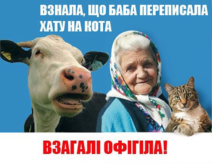 Курьезы ушедшего года