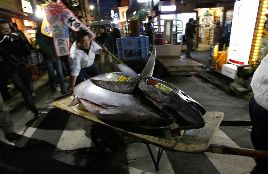 Японський ресторан купив тунця майже за $ 2 млн 