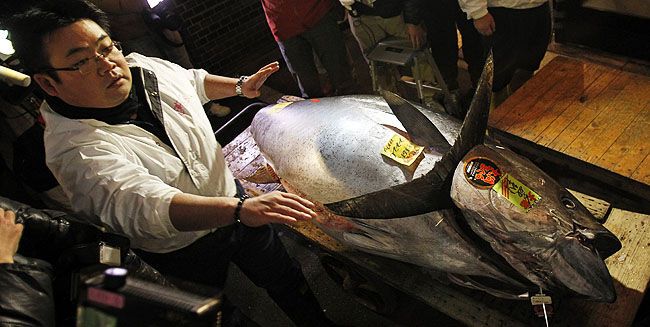 Японский ресторан купил тунца почти за $2 млн 