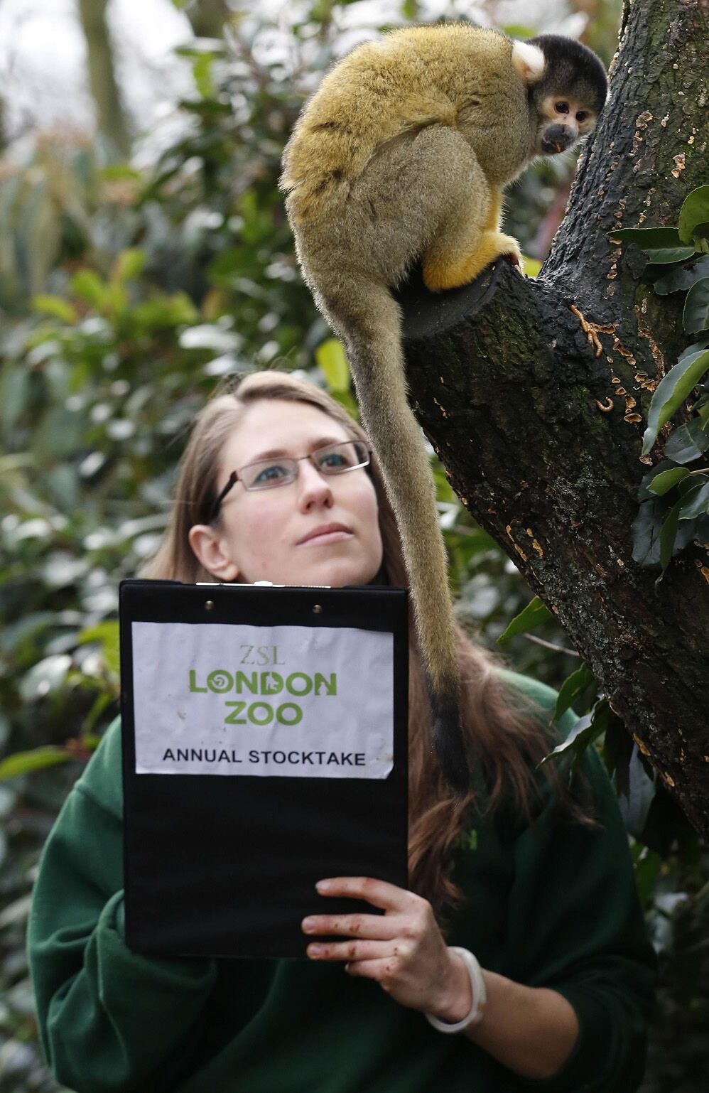 Перепись в Лондонском зоопарке 2013