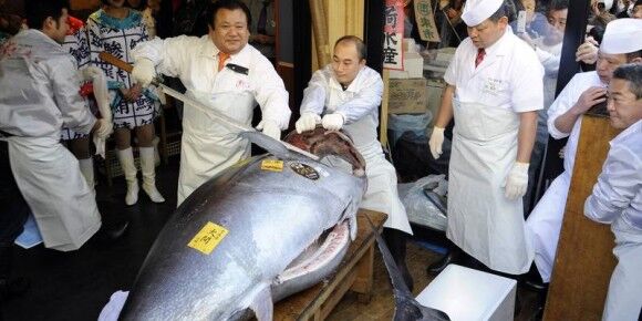 Японский ресторан купил тунца почти за $2 млн 