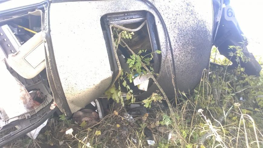 На Донетчине авто из-за лопнувшего колеса влетело в дерево: четыре жертвы