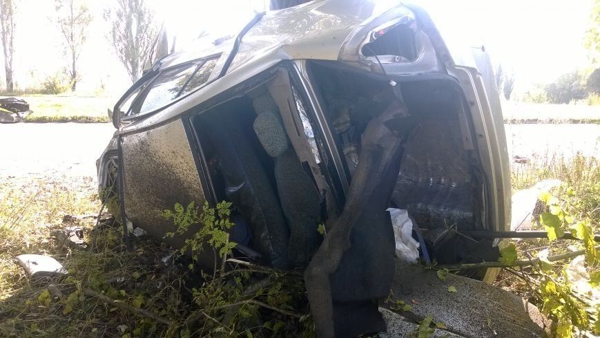 На Донетчине авто из-за лопнувшего колеса влетело в дерево: четыре жертвы