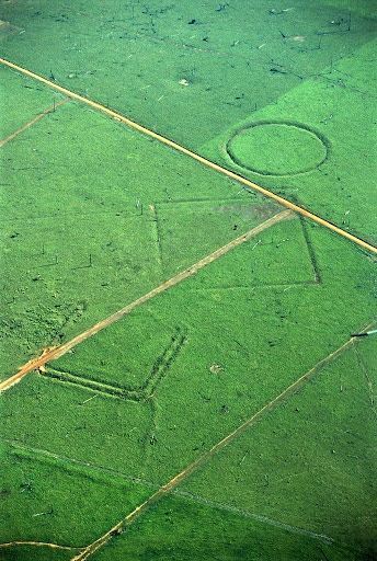 Археологи знайшли в Амазонії сліди невідомої цивілізації