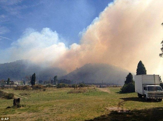 В Австралии из-за лесных пожаров ввели режим ЧС