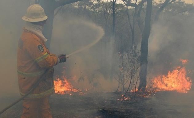 Тысячи людей эвакуируют в Австралии из-за лесных пожаров