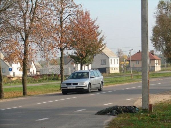 В Беларуси ГАИ подложила на обочину "сбитого" манекена - посмотреть, что будет