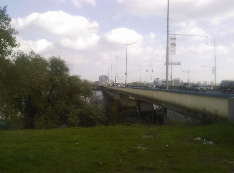 В Киеве мужчина прыгнул с моста 