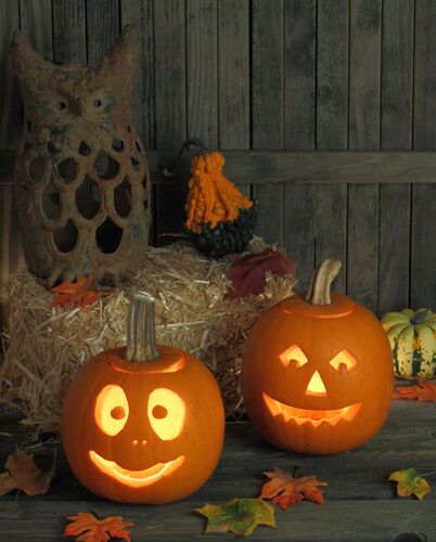Тыква на Хэллоуин своими руками: фото креативных украшений 
