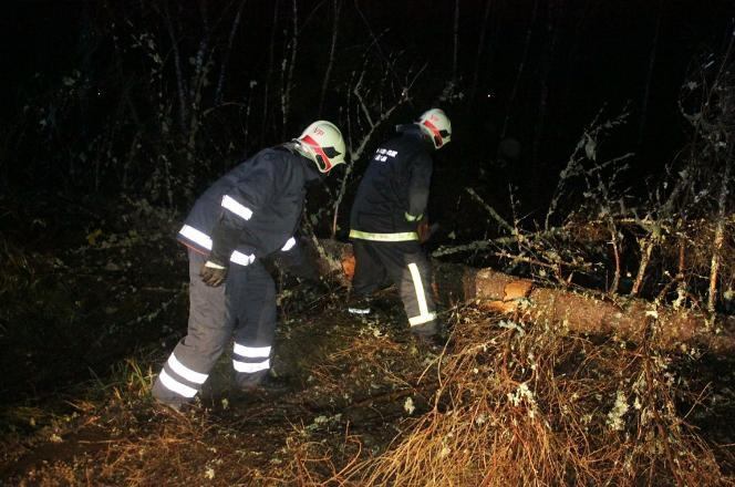 "Святой Иуда" обрушился на Эстонию: обесточены более 50 тысяч домов