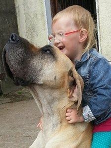 Страдающую эпилепсией 3-летнюю девочку регулярно спасает ее пес
