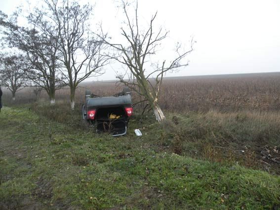 На Николаевщине иномарка улетела в кювет