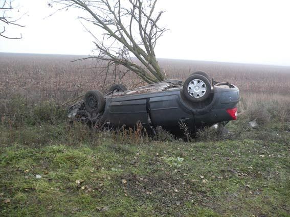 На Николаевщине иномарка улетела в кювет