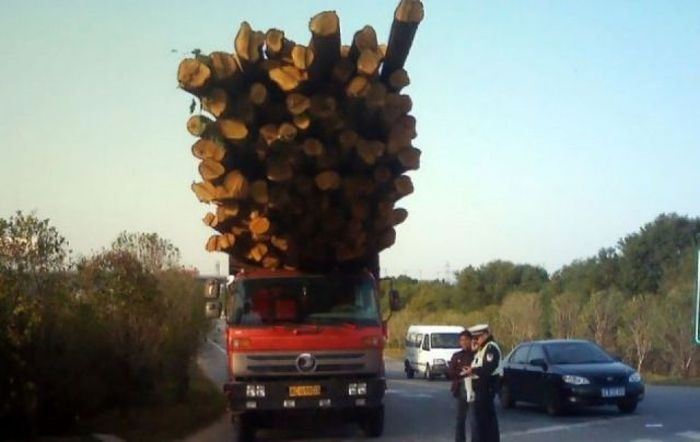 Божевільні вантажоперевезення