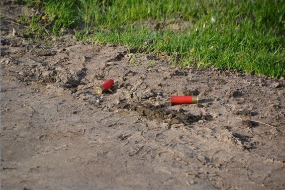 На Львівщині знайшли застреленою пов'язану дівчину