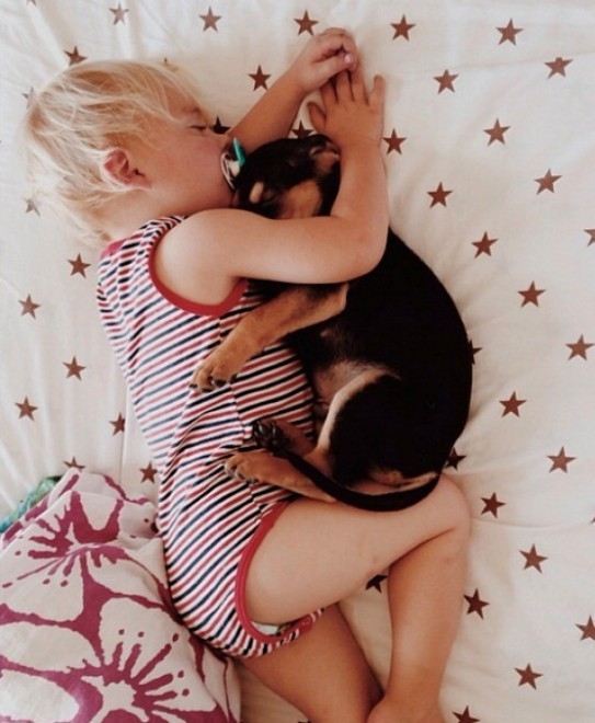 Принади спільного сну: як щеня охороняє сплячого малюка