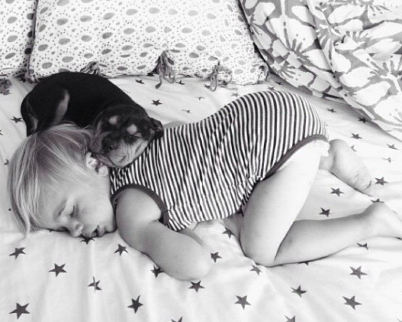 Прелести совместного сна: как щенок охраняет спящего малыша