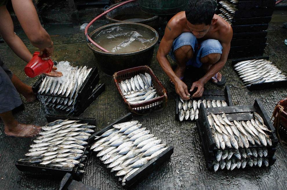 Люди за роботою - фото з усього світу 