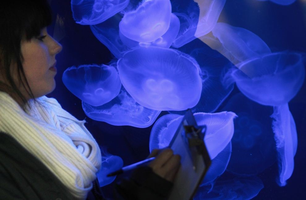 Люди за роботою - фото з усього світу 