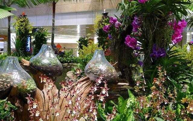 Аэропорт Сингапура превратили в роскошный сад