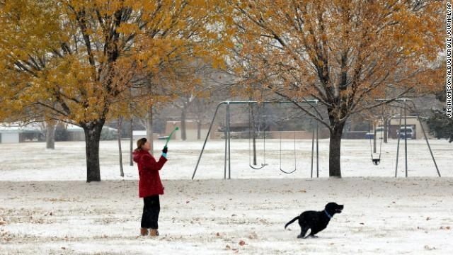 У США лютує снігова буря: 13 загиблих