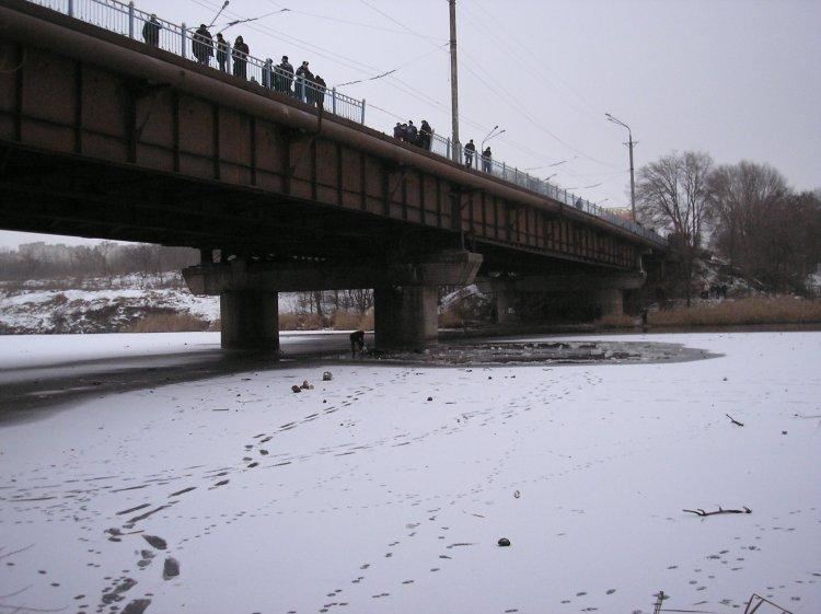 В Кривом Роге автомобиль упал в реку: погибла мать с тремя детьми