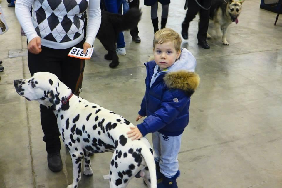 Нардеп Миримский сводил семью на выставку собак