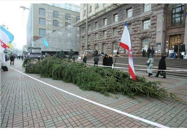На Евромайдан привезли 14-метровую елку