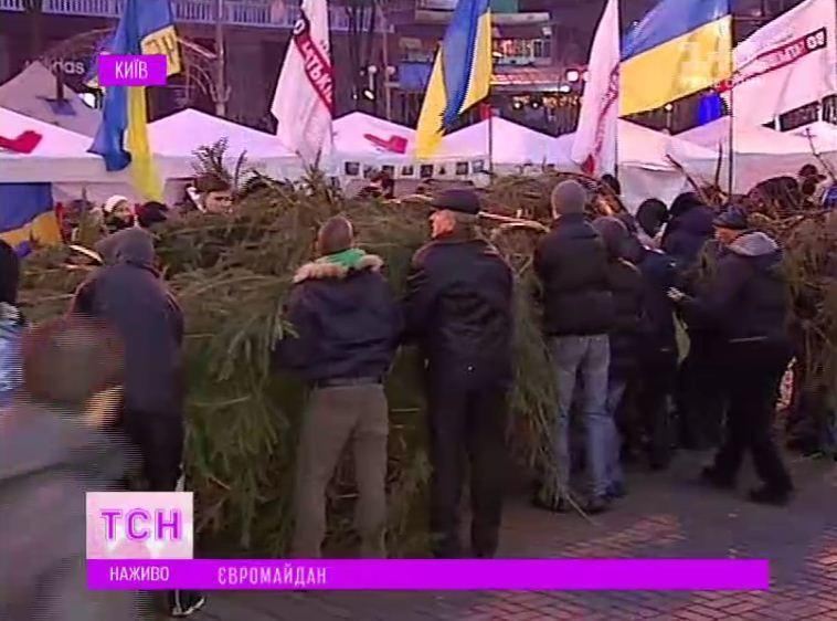 На Евромайдан привезли 14-метрову ялинку