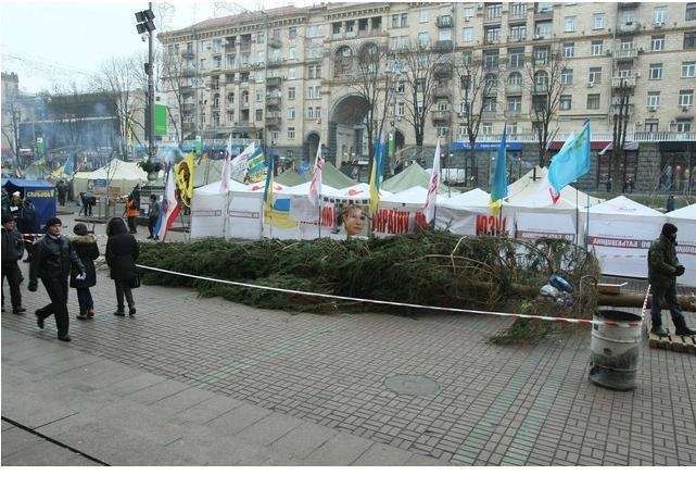 На Евромайдан привезли 14-метрову ялинку