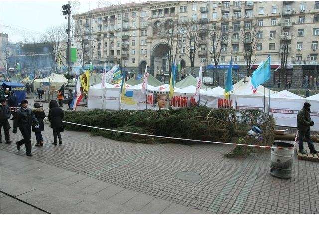 На Евромайдан привезли 14-метровую елку