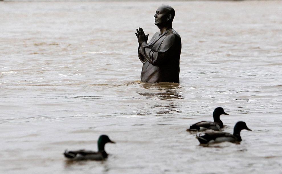 Фотографії, які потрясли світ у 2013 році