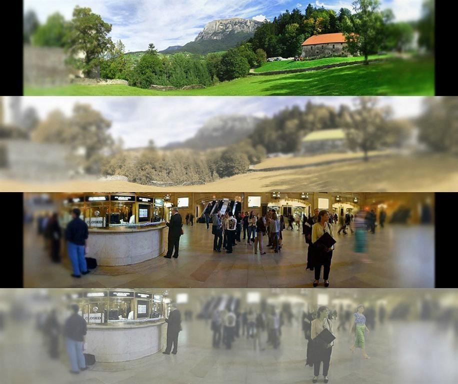 Фотографії, які потрясли світ у 2013 році