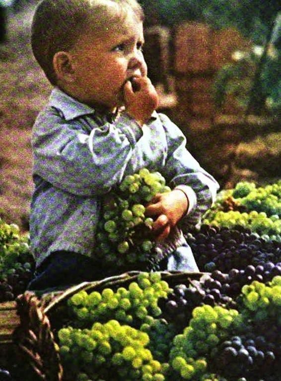 Красные аватары Украины: фото из журнала "Огонек" (1950-61)