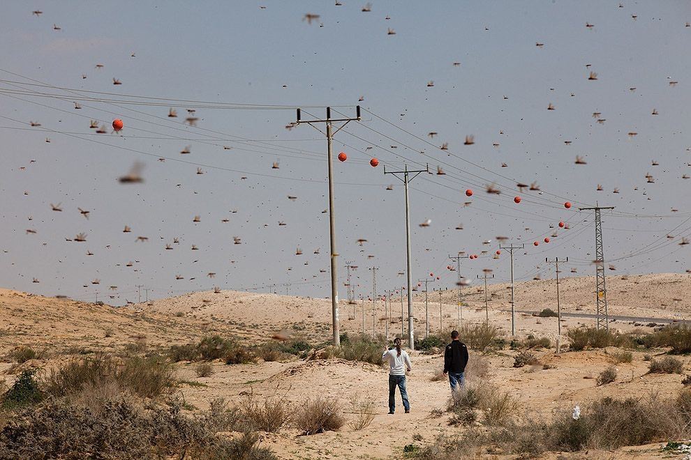 Лучшие снимки 2013 года по версии Getty Images