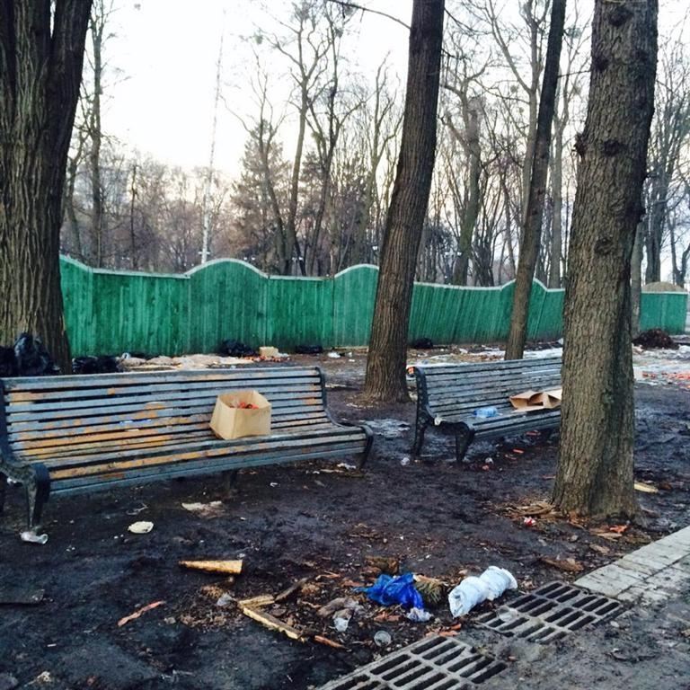 Евромайдановцы уберут парк после Антимайдана