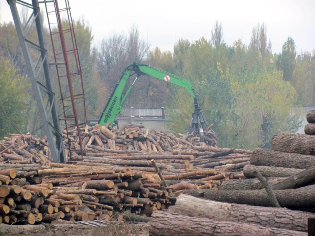 Как "закалялся" отечественный лидер деревообработки